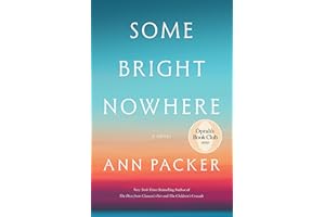Some Bright Nowhere: A Novel