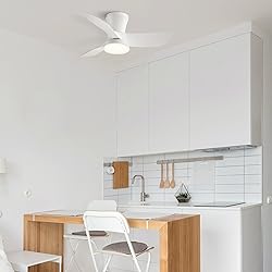 SUNMORY Ceiling Fans with Lights and Remote, 30