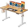 ErGear Height Adjustable Electric Standing Desk, 55 x 28 Inches Sit Stand up Desk, Large Memory Computer Home Office Desk with Two-Piece Desktop (Light Vintage Brown)