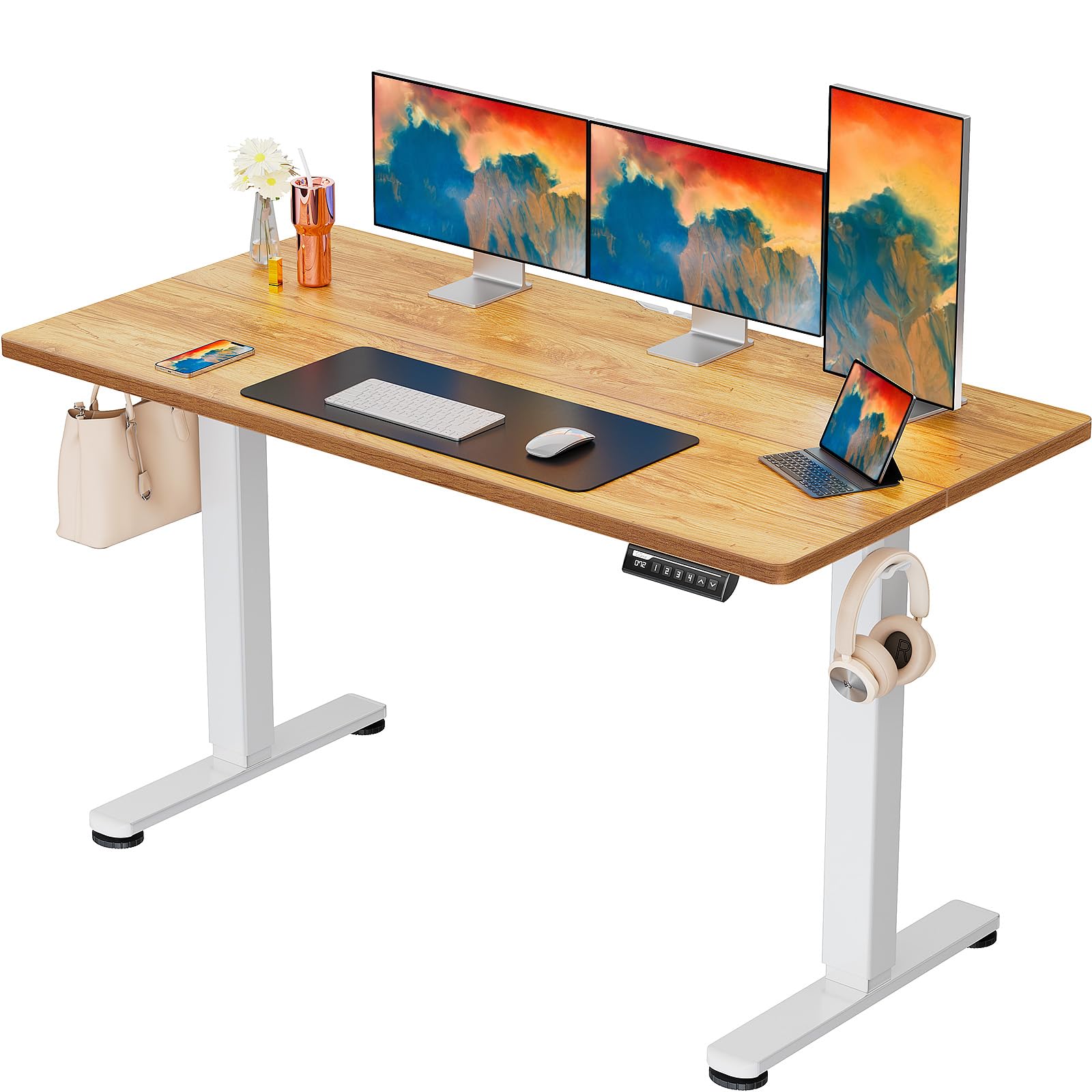 ErGear Height Adjustable Electric Standing Desk, 55