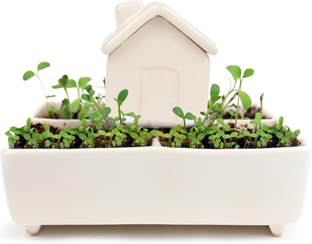 Gift Republic Self Watering House Herb Grow Kit Basil Rosemary Thyme Parsley