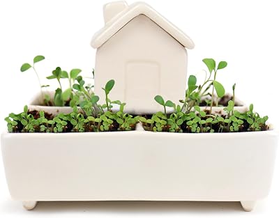 Gift Republic Self Watering House Herb Grow Kit Basil Rosemary Thyme Parsley