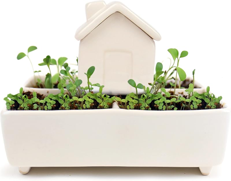 Gift Republic Self Watering House Herb Grow Kit Basil Rosemary Thyme Parsley
