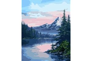 FILASLFT Paint by Number for Adults,Paint by Numbers Beginner,Paint by Number for Adults Canvas,Paint by Number DIY Landscape for Gift Home Wall Decor 16X20 Inch.