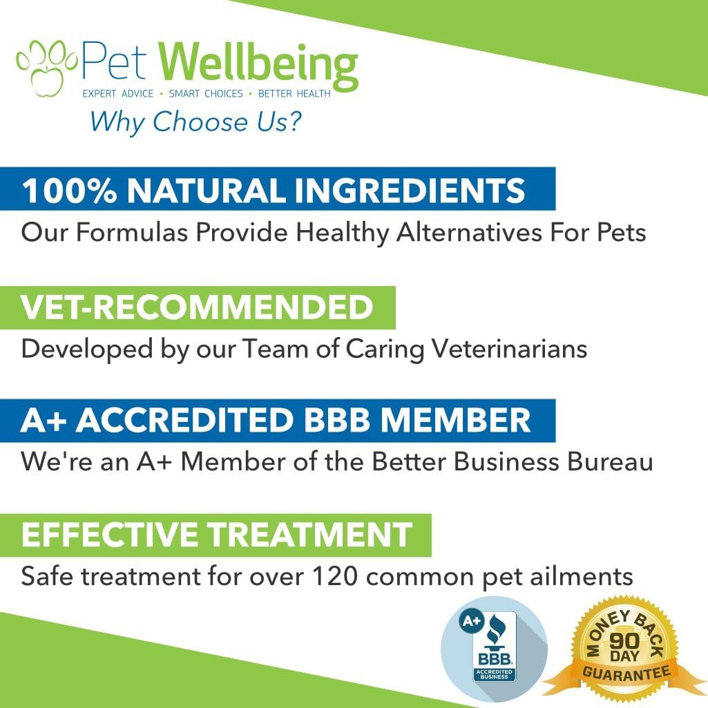 Pet Wellbeing Blood Sugar Gold for Cats - Natural Support for Healthy Blood Sugar Levels in Cats - 2 Ounce 59 Milliliter : Pet Supplies