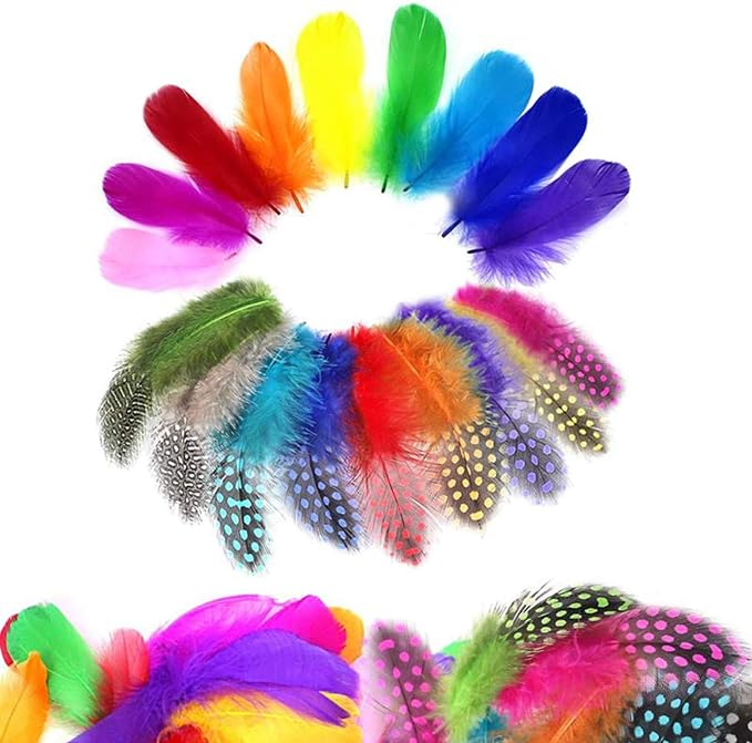 300 Plumes Naturelles Multicolores - Plumes Colorées Pour Loisirs Créatifs, Décoration Et Artisanat