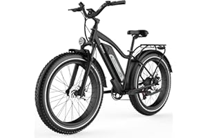 Himiway Cruiser Long Range Electric Bike, 750W 60MI 48V 17.5Ah Battery 26"x4" Fat Tire, 350LBS Payload 25MPH Top Speed, 7 Speed, UL Certified