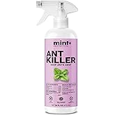 Mint+ Ant Killer Spray, Ant Spray for Indoor & Outdoor Use, 16 oz (475mL)