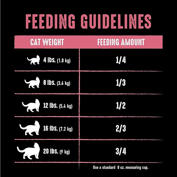 CRAVE GRAIN FREE INDOOR ADULT HIGH PROTEIN NATURAL DRY CAT FOOD WITH PROTEIN FROM CHICKEN & SALMON, 10 LB. BAG