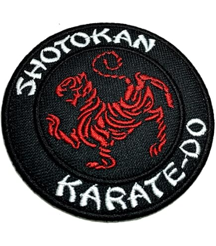 3x5 Inch Embroidered Emblem Goju Ryu Karate Embroidered Patch – 3x5 ...