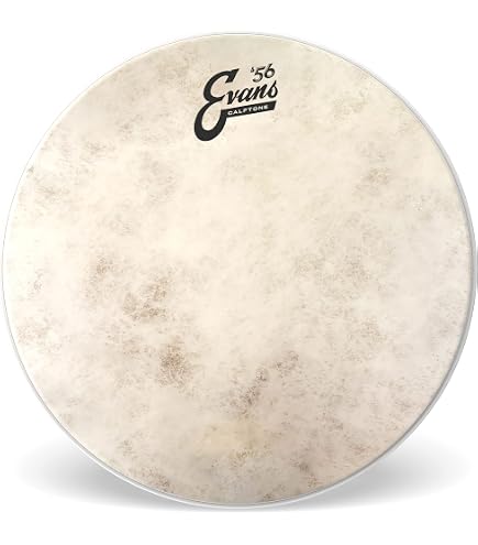 EVANS B14G1D SNARE DRUM HEAD POWER CENTER UPC 019954925673 EVANS B14G1D SNARE DRUM HEAD POWER CENTER UPC 019954925673