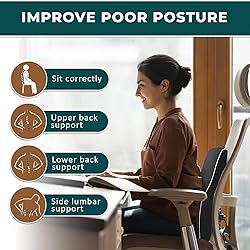 QUTOOL Lumbar Support Pillow with DIY Gift Box
