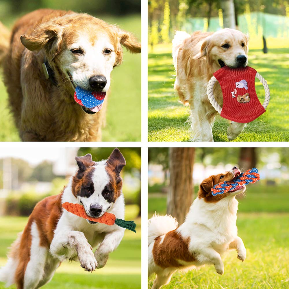 Dog Chew Toys for Puppies, AIRGOOD Durable Rope Toys, Pet Squeaky Food Spill Ball and Training Frisbee Toy Set (10 Pack )