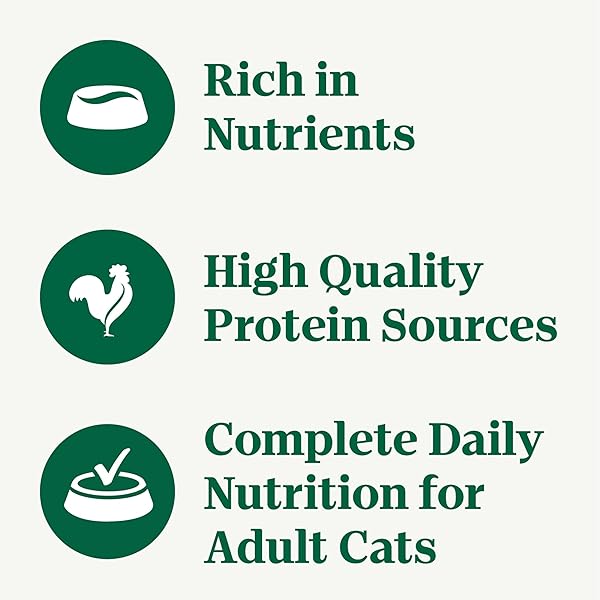 NUTRO NATURAL CHOICE WET CAT FOOD PATE VARIETY PACK, 2.64 OZ. TWIN-PACK TRAYS, 24 PACK