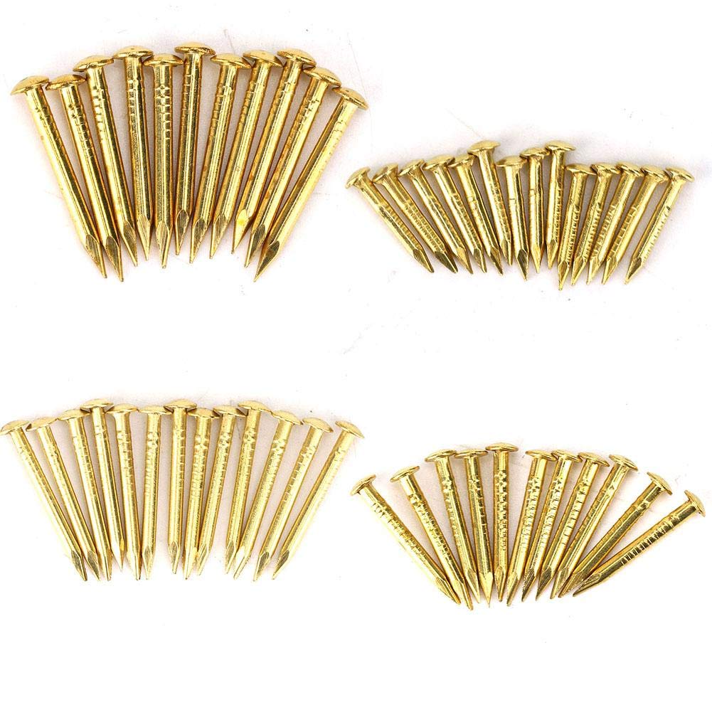 100Pcs Brass Wall Pins, Round Head Gold Nails for Furniture Hinge Hardware Accessories – Heavy Duty 22mm Thicker Nails for Home Decor Woodworking Projects