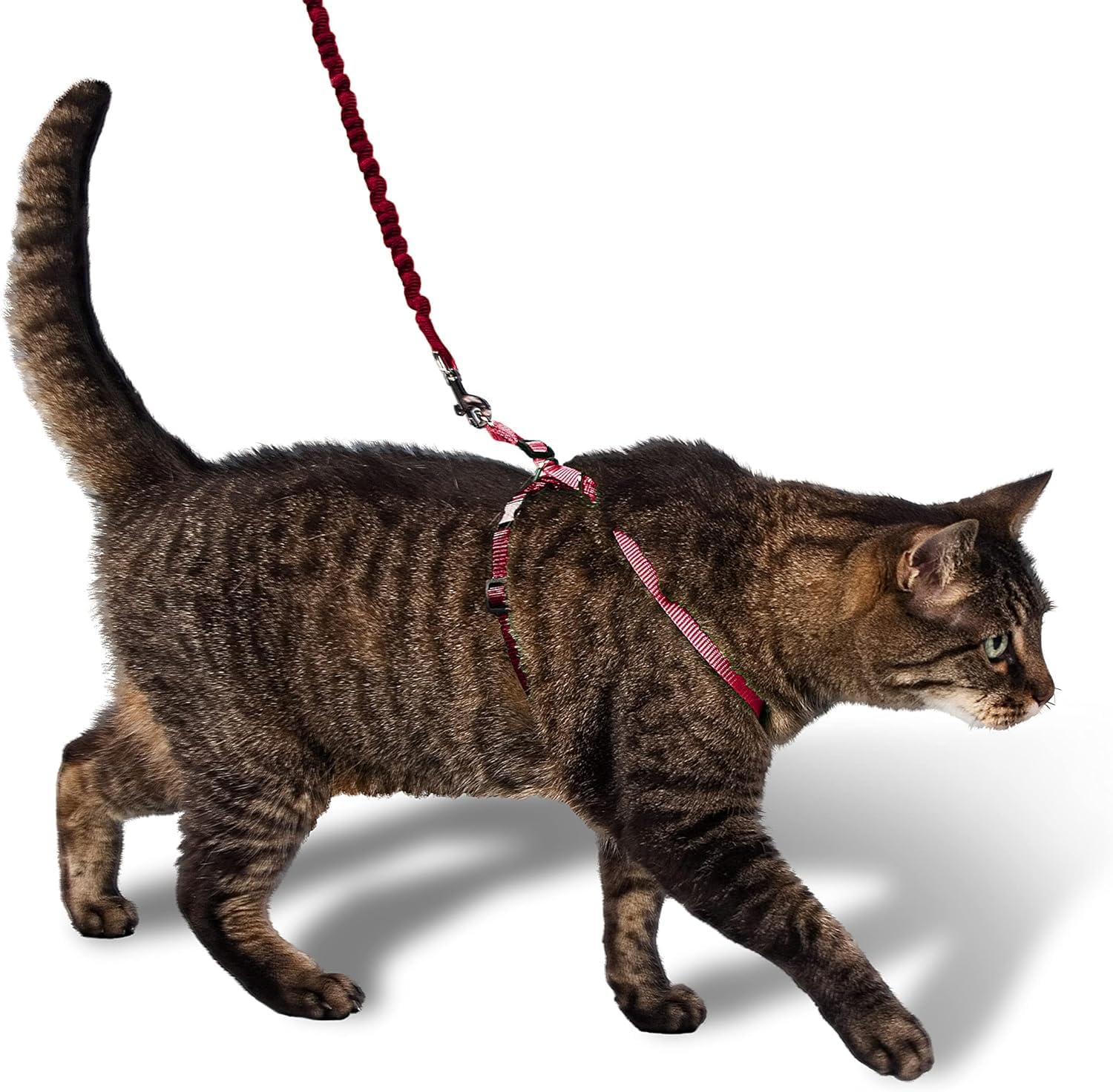 PetSafe Easy Walk Cat Harness with Bungee Lead, Comfortable Control with Adjustable Fit, Includes Stretchy Bungee Section, Large-Red