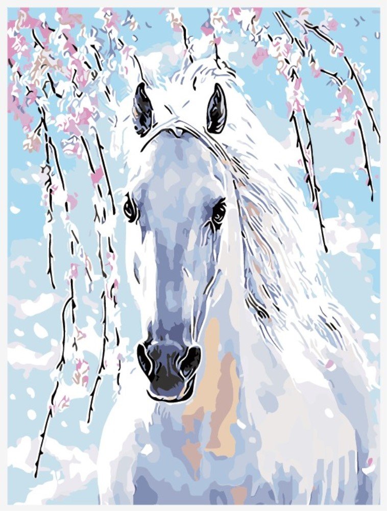 WOWDECOR Paint by Numbers Kits for Adults Kids, DIY Oil Painting - White Horse Plum Blossom 16x20 inch (7002, Framed)