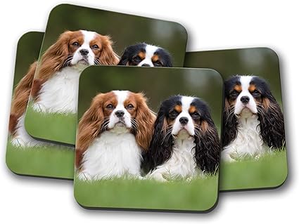 Amazon 4セット キャバリア キング チャールズ スパニエルコースター 犬かわいいかわいいペットギフト Destination Vinyl Coasters ホーム キッチン 通販
