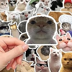 Cat Stickers,Funny Cat Meme, Kawaii for