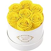 Beaulasting Long Lasting Preserved Roses in a Box Last a Year Forever Flowers for Her Mom Wife Anniversary Birthday (Round White Box, Yellow)