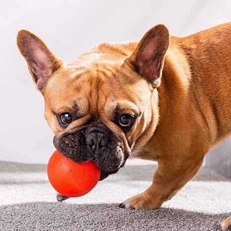Amazon Co Jp 犬のおもちゃボール臼歯噛み付きにくい噛む玩具ベビー犬小型犬用咀嚼ペット用品 ホーム キッチン