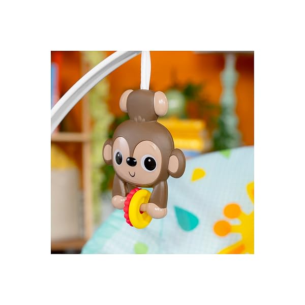 BRIGHT STARTS WILD VIBES INFANT TO TODDLER ROCKER WITH VIBRATIONS, UNISEX, NEWBORN +