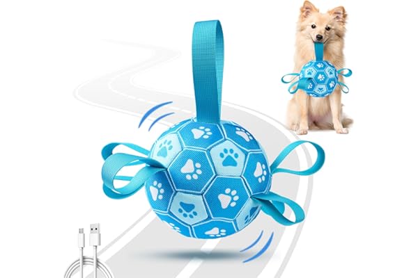 Qraxond Interactive Dog Toys Dog Soccer Ball to Keep Them Busy,Durable Automatic Moving Jumping Dog Balls with Straps for Small/Medium/Large Dogs, USB Rechargeable,Not for Aggressive Chewers (Blue)