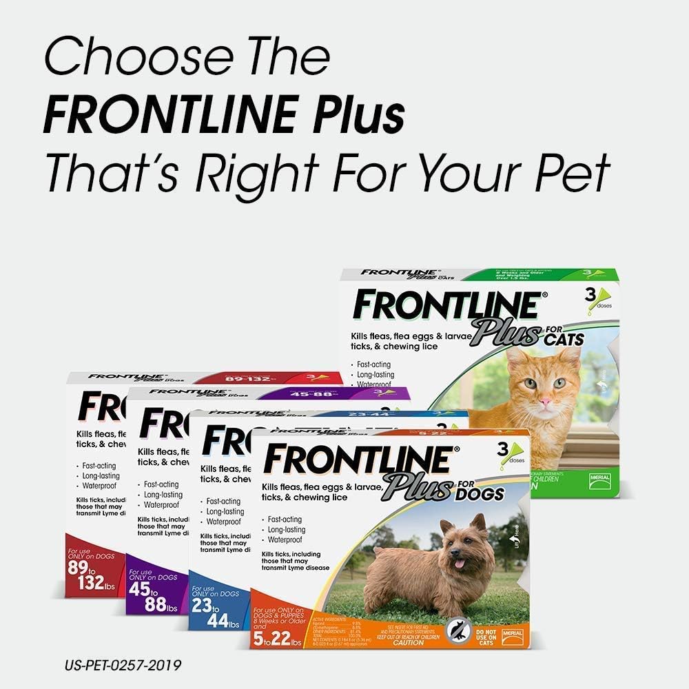 frontline plus bath
