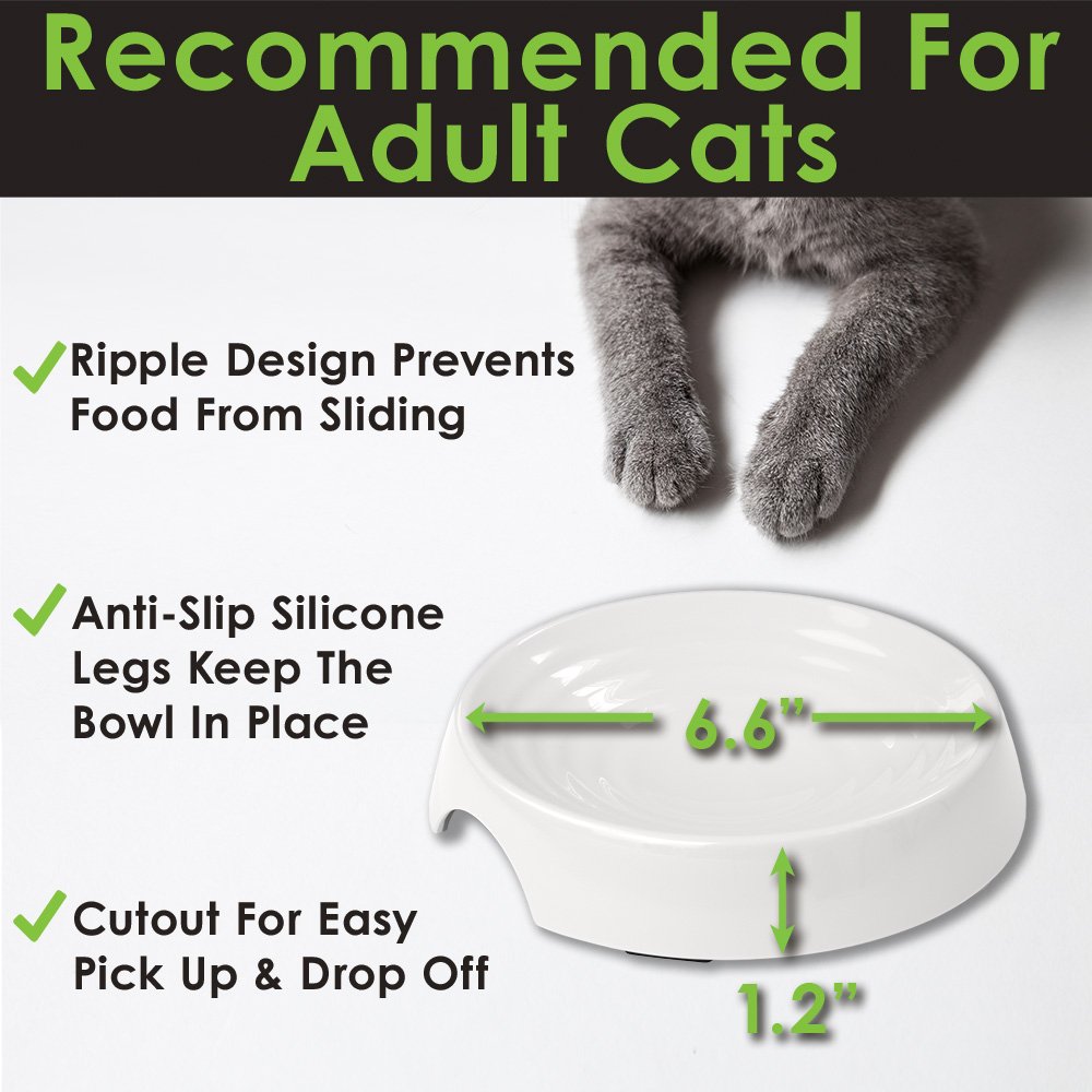 NEW! CatGuru Premium Cat Bowl, Cat Food Bowl for Relief of Whisker