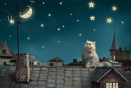 Amazon Sunyu 1000 ピース 可愛いペルシャ猫 星の輝く空 星 月 静かな夜 風景 絵画 子供 教育学習玩具 木製 知育 ジグソーパズル 木製パズル おもちゃ