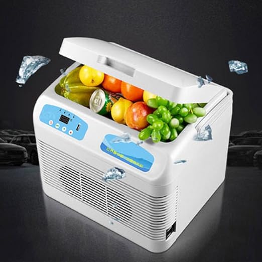 YIWANGO Refrigeradores De 12L Mini Refrigeradores Nevera De Coche ...