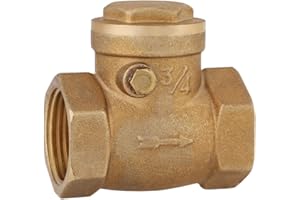 DN20 Female Thread 3/4 BSP Brass Check Valve, 1pc Non Return Swing Valve, One Way Non Return 232PSI Prevent Water Backflow