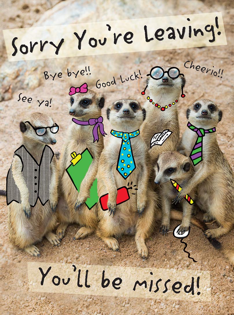 Piccadilly Greetings Modern Large Card Leaving - 12 x 9 inches