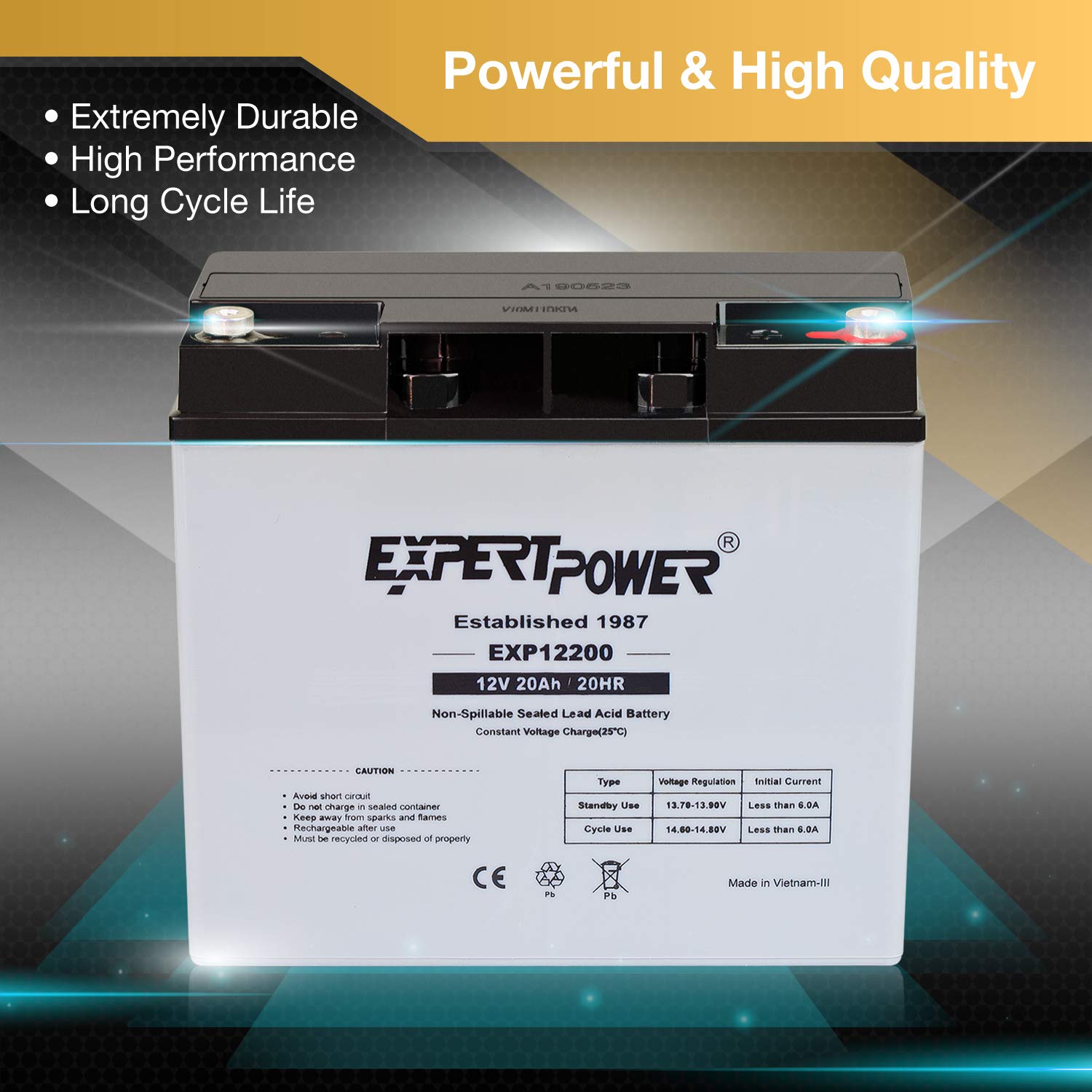 ExpertPower EXP12200 12V 20AH Lead_Acid_Battery Buy Online in UAE