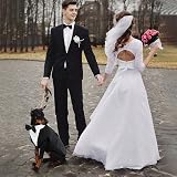 PUMYPOREITY Black & White Dog Tuxedo Outfit with Bow Tie Bandana Set view 5