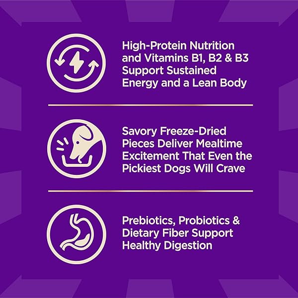 WELLNESS CORE+ ADULT DRY DOG FOOD WITH FREEZE DRIED PIECES, WHOLESOME GRAIN KIBBLE+, NATURAL, HIGH PROTEIN, CHICKEN FREE, WHITEFISH, HERRING, AND SALMON RECIPE, 4 LB BAG