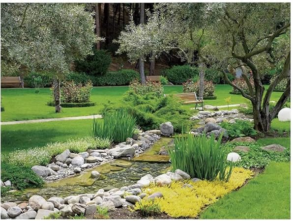 Amazon ガーデン写真背景 芸術的なイラスト 鳥と蝶の花 カラフルなサマータイム背景 スタジオ用 5x3フィート バックペーパー 背景布 通販