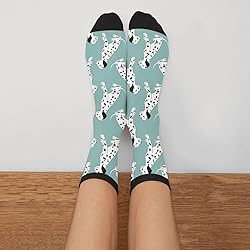 Jinjinkiang Dalmatian Blue Dalmation Dog Unisex