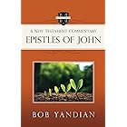Epistles of John: A New Testament Commentary