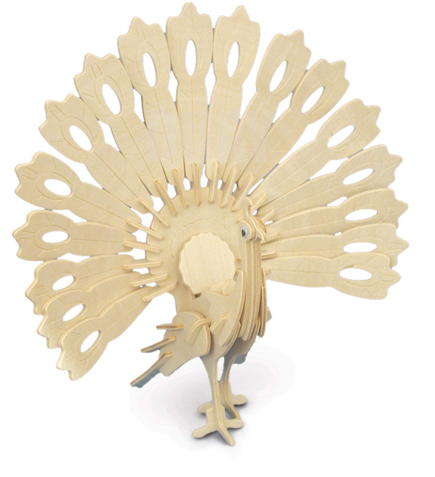 Quay Peacock Woodcraft Construction Kit FSC