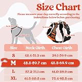 rabbitgoo Dog Harness Medium No-Pull Front Back Clips Reflective Orange M view 2