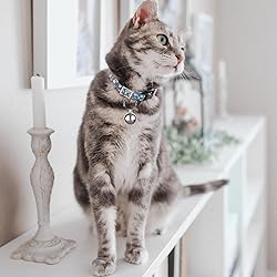 SKYPIA 12 Pack Pet Bells for Dog Cat Collar Charm