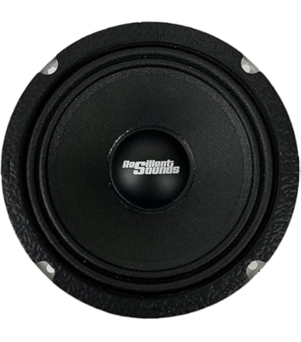 Amazon.com: Resilient Sounds NEO 10 500w rms 4ohm 10