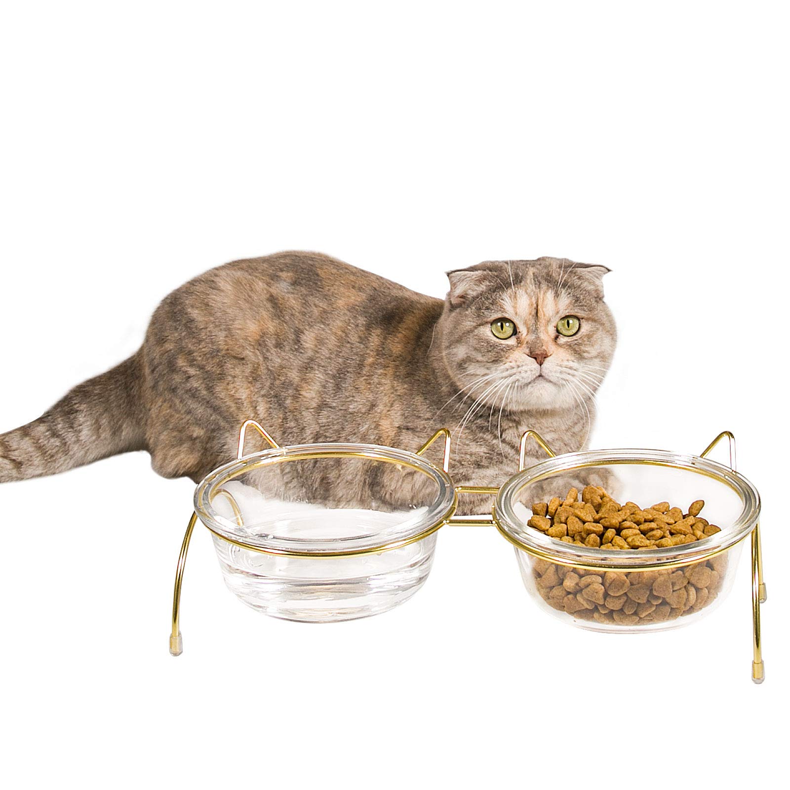 Photo 1 of Qucey Cat Food and Water Bowls Set, Raised Cat Bowls for Food and Water, Elevated Pet Glass Bowls with Stand, 17 oz Cats and Dogs Bowl, Dishwasher Safe