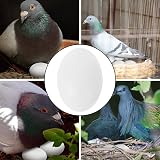 iplusmile 30Pcs Solid Plastic Pigeon Eggs to Stop Birds Laying Eggs Ornament view 8
