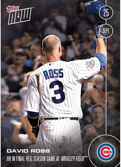 chicago cubs david ross jersey