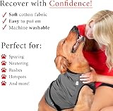 BellyGuard Dog Recovery Onesie X-Large Grey Cone Alternative view 4