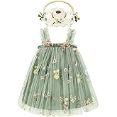 Toddler Baby Girl Tutu Dress Sleeveless Floral Print Tulle Dress Little Girl Princess Dresses with Flower Headband