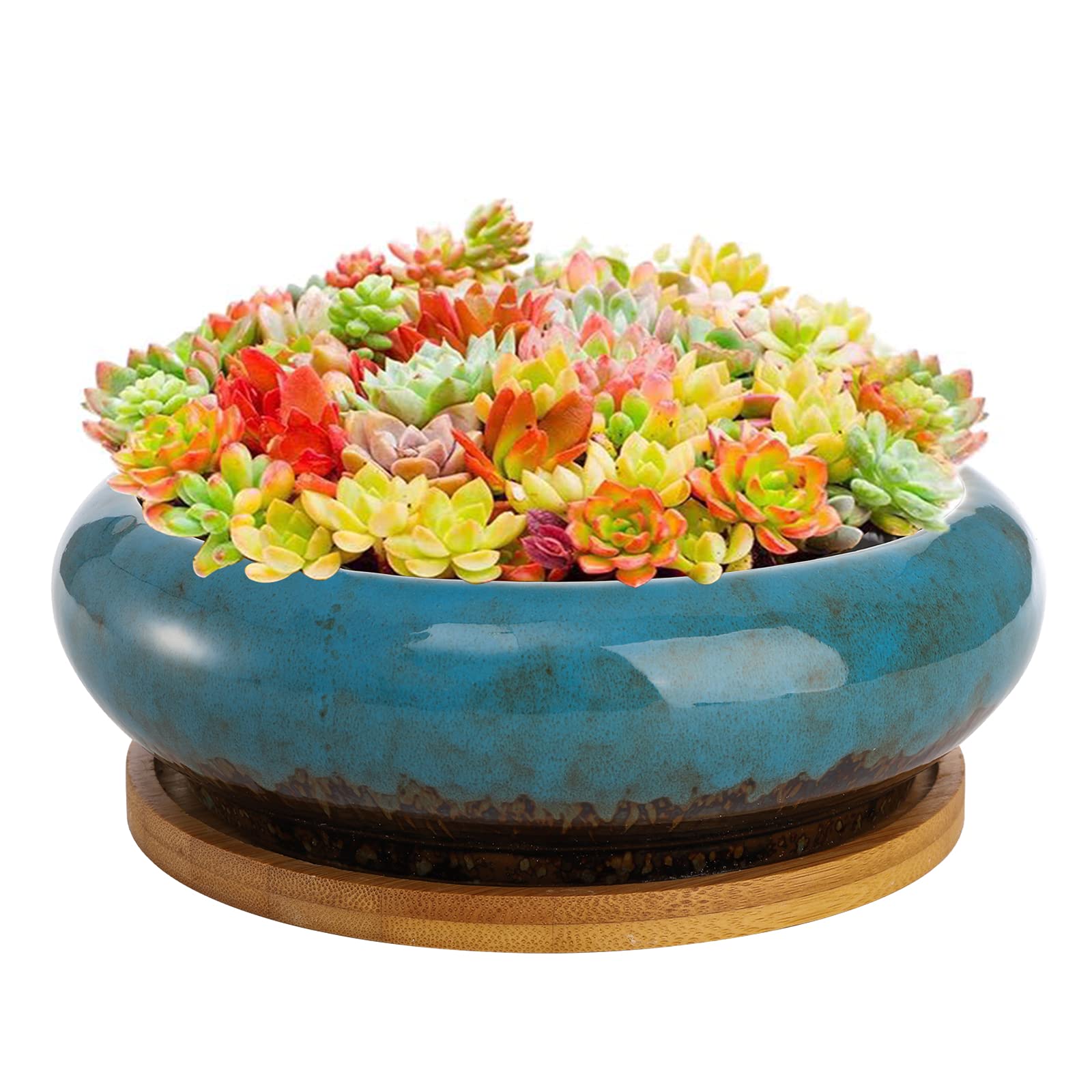 Peohud Succulent Planters Pot, 18cm Glazed Ceramic Bonsai Pots and Tray, Round Shallow Plant Pot with Drainage Hole, Flower Container Pots Garden Decorative Cactus Stand with Bamboo Tray, Blue