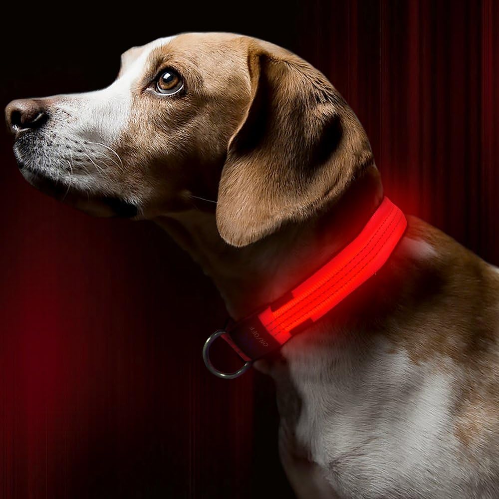 bseen led dog collar